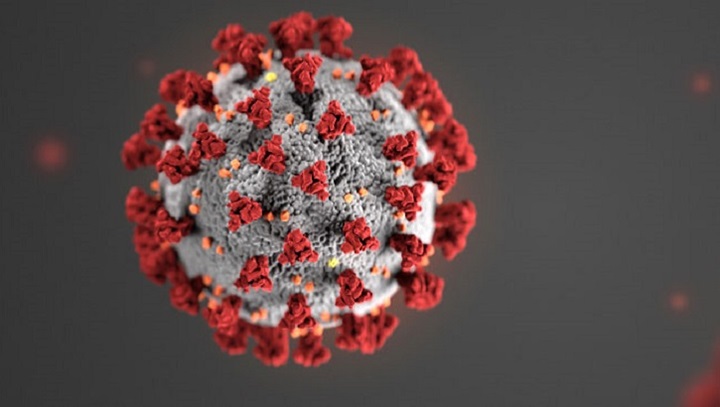 How Seattle book workers have adapted to coronavirus shutdowns